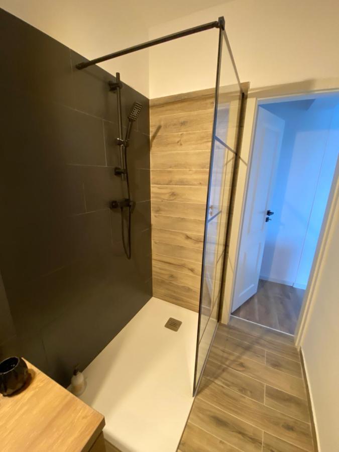 ティミショアラDoinei Cozy Flatアパートメント エクステリア 写真